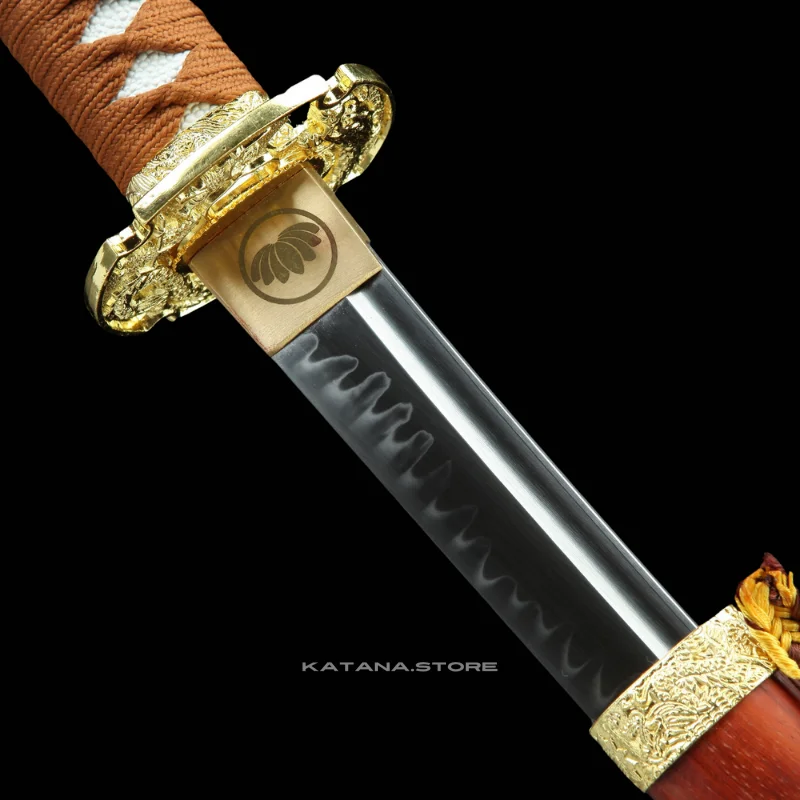 T10 Tachi - Image 5