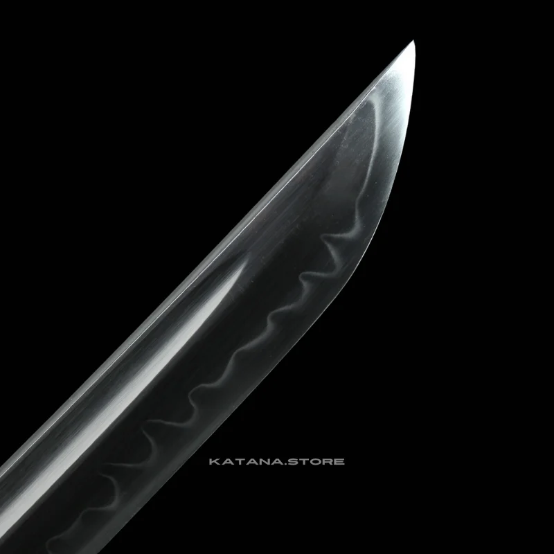 T10 Tachi - Image 6